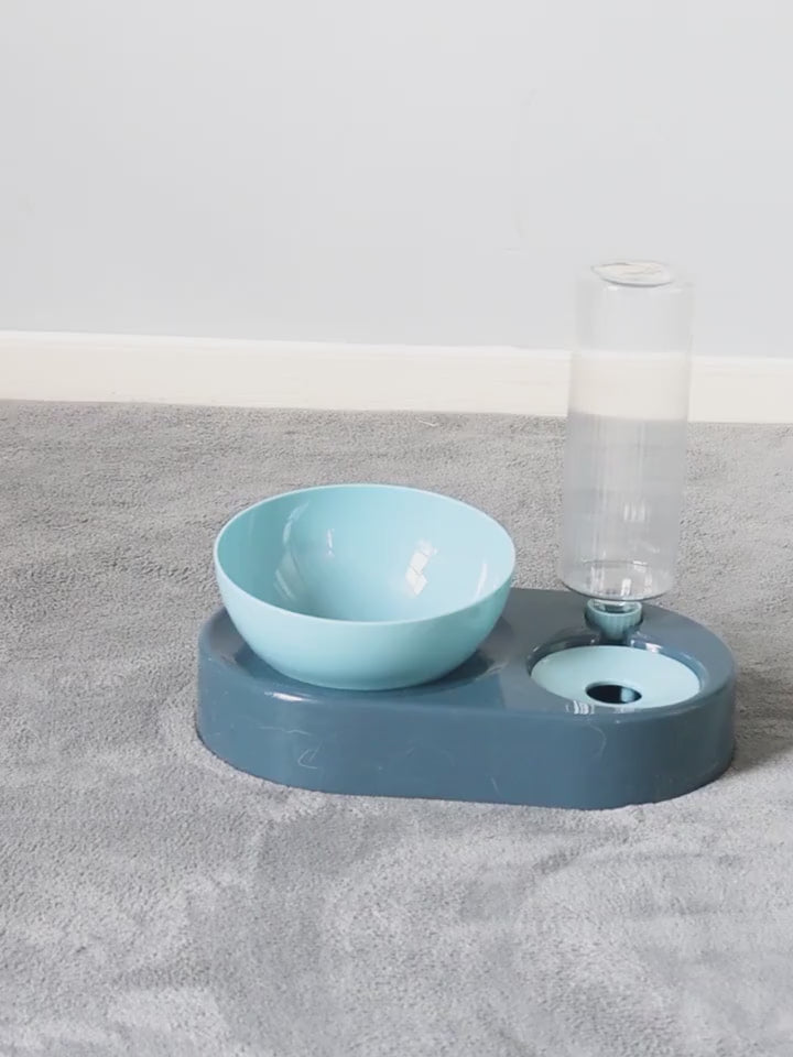 Double Bowl Automatic Drinking Dog Pot Cat Bowl